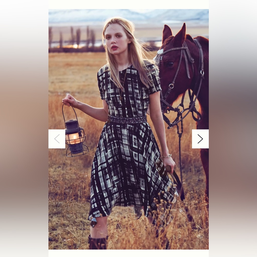 Anthropologie Corey Lynn Calter paint strokes pattern 2 black white lined dress - Picture 15 of 15